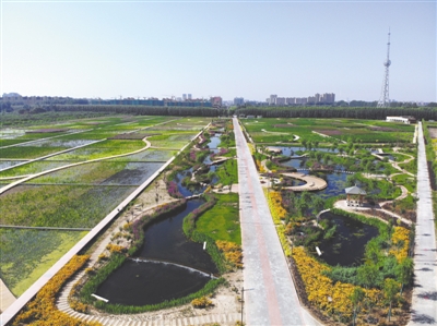 <p><p> 人工湿地美景如画。(资料图片)</p><p>