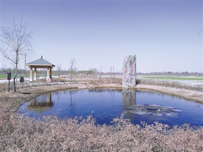 <p><p> 季节不同,湿地的美也不同。 本报记者 李锦 摄 </p><p>