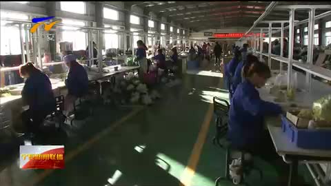 宁夏新闻网视听在线☆<a href="./t20210517_7140559.html" target="_blank">宁夏：巩固残疾人脱贫成果 提高残疾人生活质量</a>