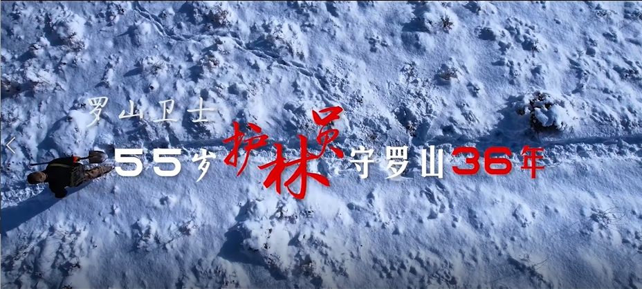【新春走基层】罗山卫士张占军：守护罗山36载