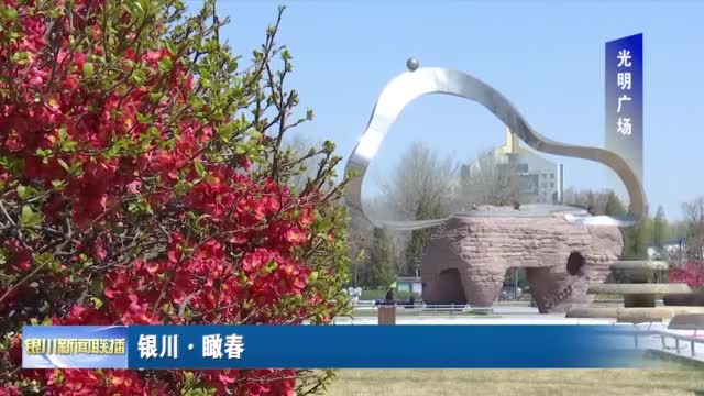 宁夏新闻网视听在线☆<a href="./t20220411_7512895.html" target="_blank">银川·瞰春（光明广场）</a>