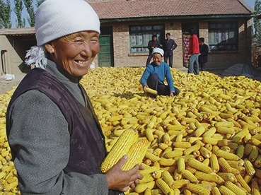 <p>    ƺˮˣϲӭա</p>