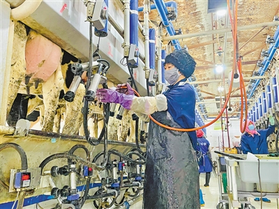 <p>    青铜峡市永青奶牛养殖专业合作社的工人用小口径水管冲洗奶瓶，在生产的各环节中体现节水意识。</p><p>    本报记者　陈瑶　摄</p>