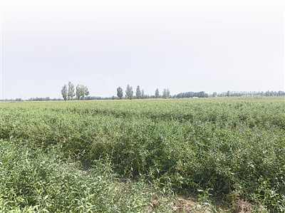 <p>    ԴС</p>