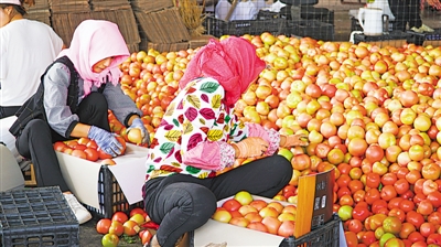 <p>    ������ũ����ѡƷ��õ�������װ����ۡ�</p>