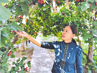<p>    “”ٲ鿴ɽ髳ơ</p>