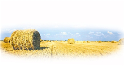 <p>    ͼƬԻ</p>