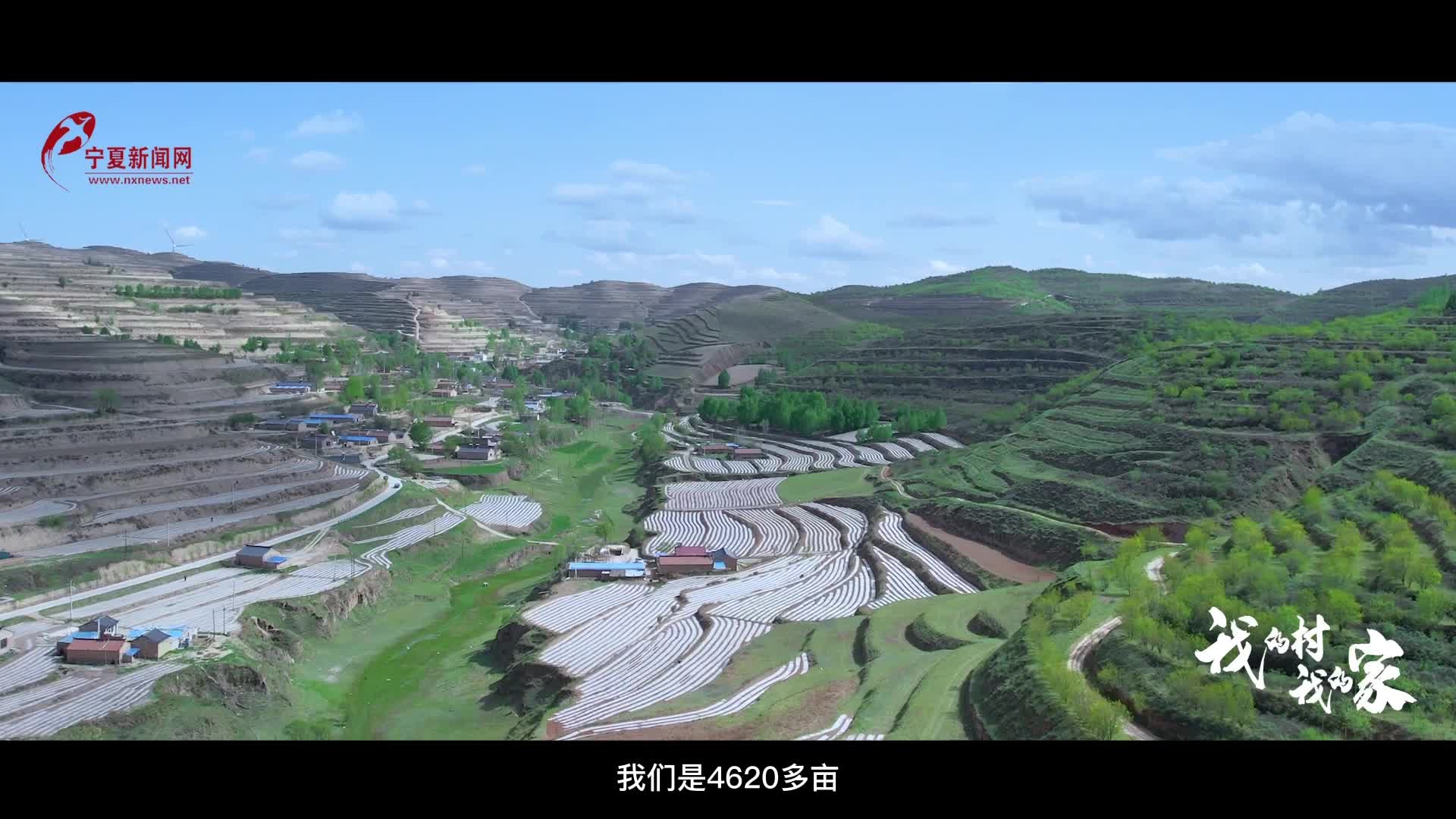 我的村我的家西吉县白崖乡库房沟村绘就美丽乡村新画卷