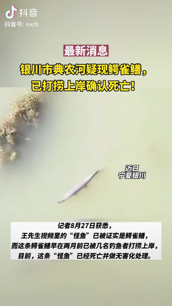 【法眼】不要作为观赏鱼饲养！鳄雀鳝“来者不善” ，随意放生涉嫌违法！
